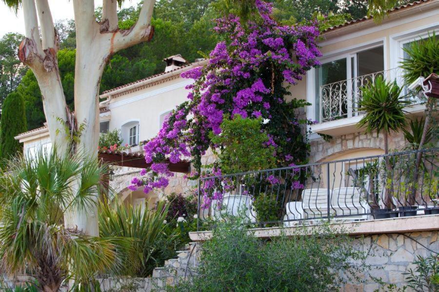 Villa Gloria Saint-Jeannet  Exteriér fotografie
